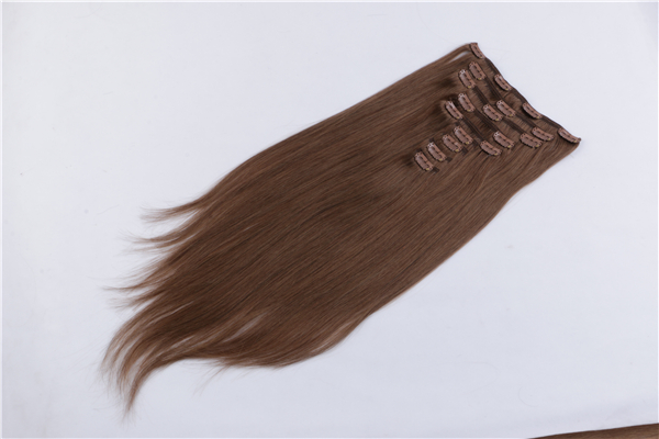 Remy 100 human hair clip in extensions JF010